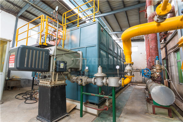 2噸的生物質(zhì)鍋爐要淘汰的文件