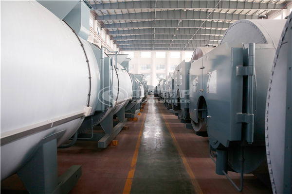 燃氣蒸汽鍋爐 wns10-1.0-Q 多少錢一臺