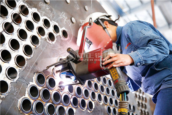 生物質(zhì)燃料鍋爐的成本