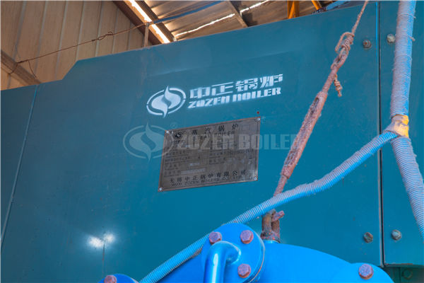 生物質(zhì)蒸汽鍋爐