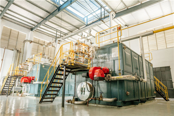 wns3 125 yq型鍋爐總圖