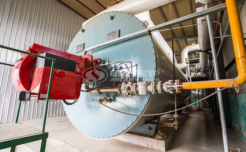 燃天然氣蒸汽鍋爐客戶案例圖片