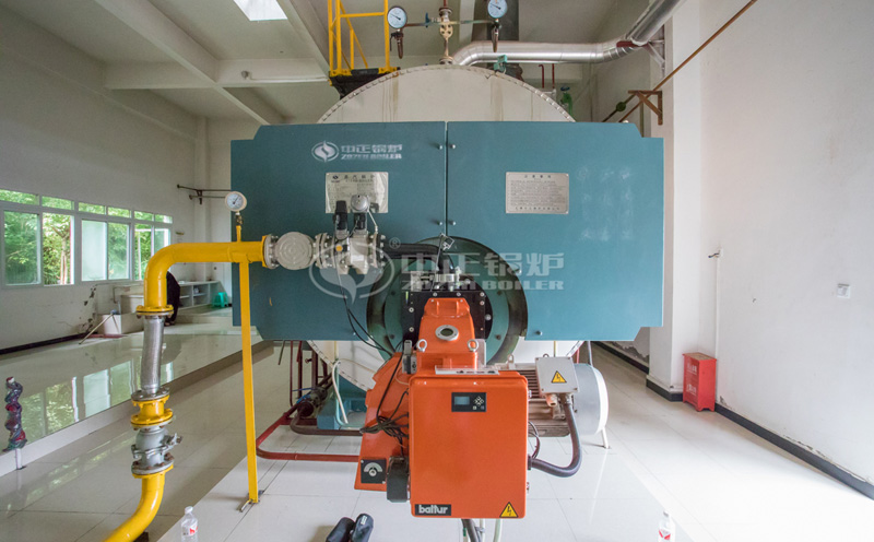 撬裝鍋爐照片高清圖客戶案例圖片