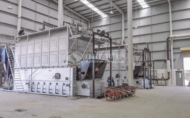 WNS6-1.0-Q燃?xì)庹羝仩t客戶案例圖片