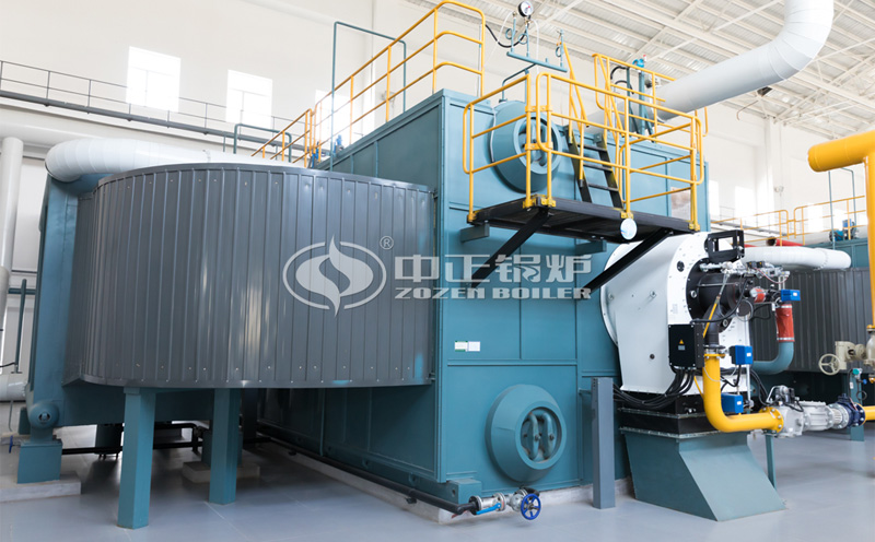 燃天然氣蒸汽鍋爐客戶案例圖片